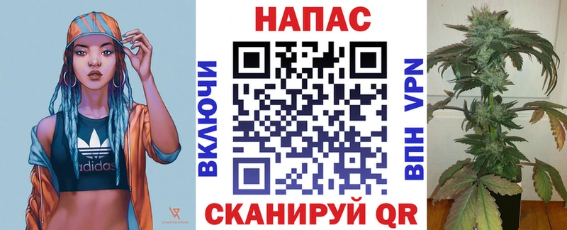 Шишки марихуана Amnesia  Бавлы 